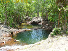 swimming at Buley Rockhole in Litchfield National Park.