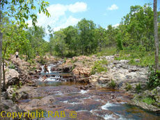 visitors swimming at Buley Rockhole in Litchfield National Park.