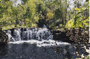 Swimming above the smaller water holes which are located above the falls