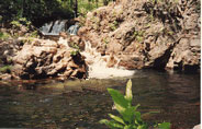 The first series of smaller cascading white water falls along the Walker Creek Walking Trail.